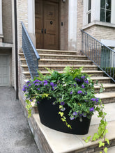 Load image into Gallery viewer, Purple Summer Planter