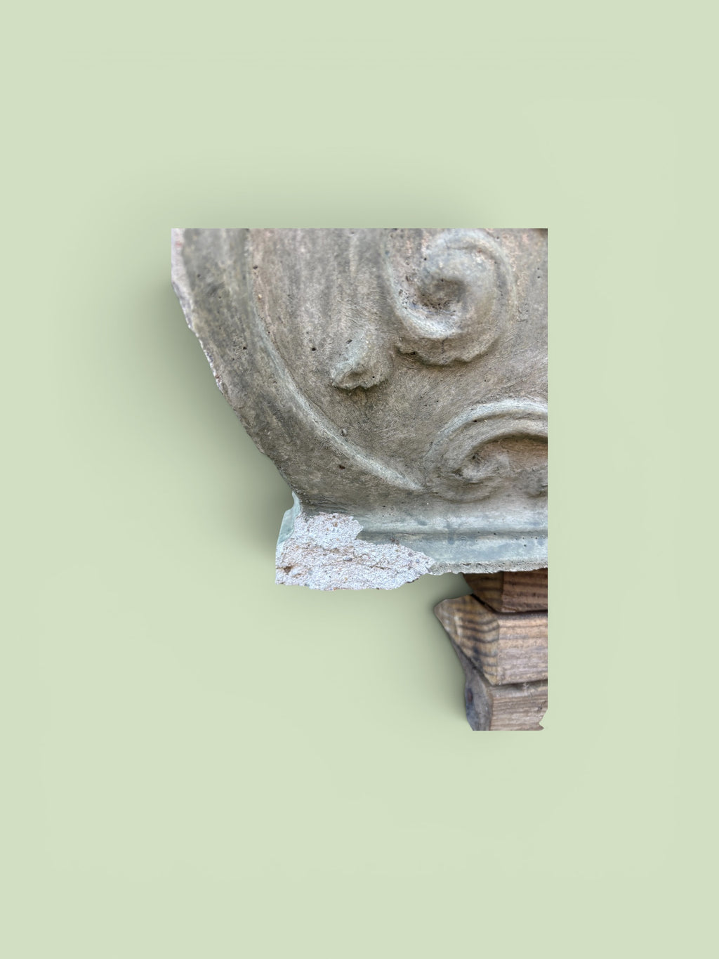 Acanthus Concrete Planter