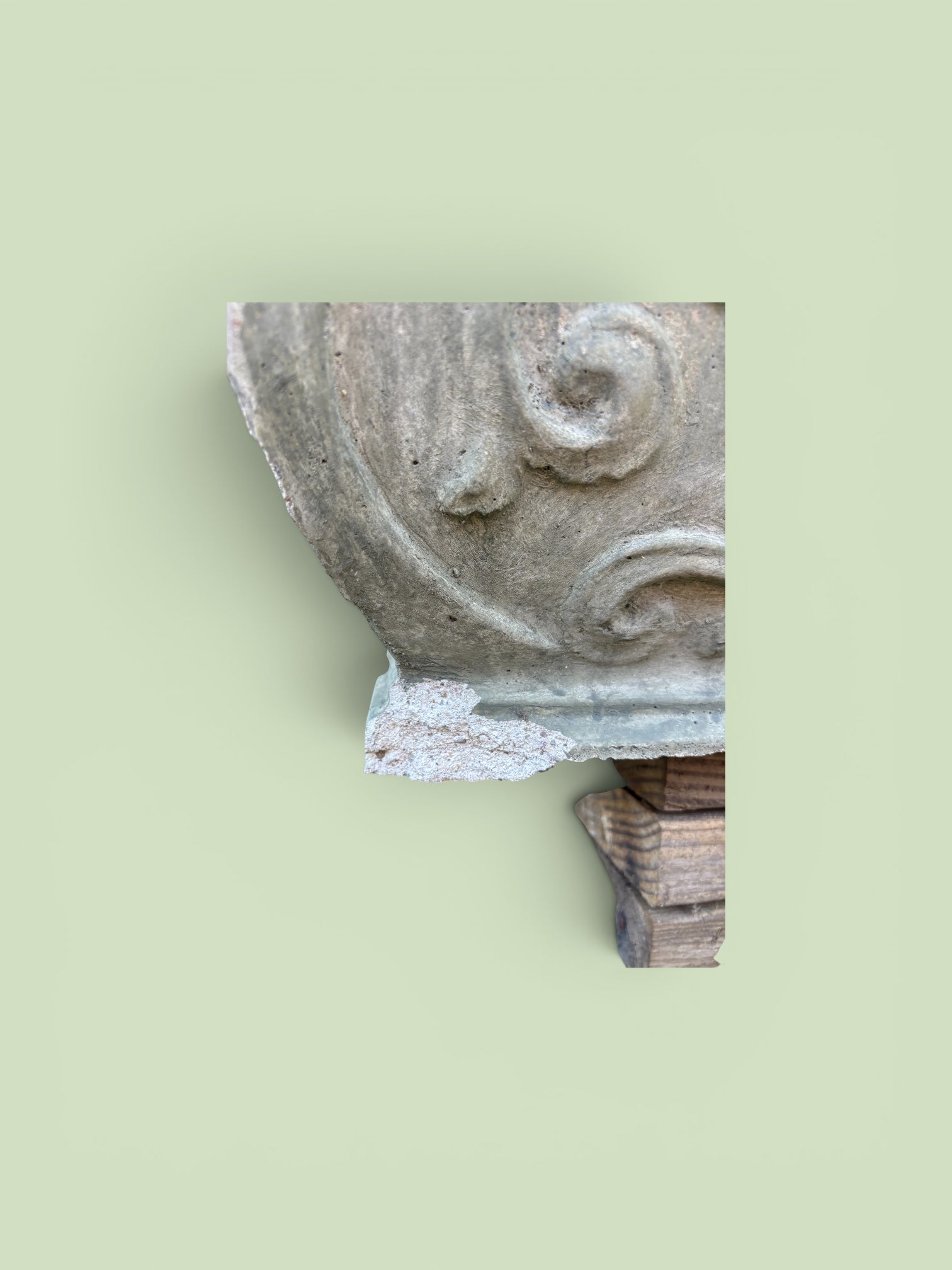Acanthus Concrete Planter