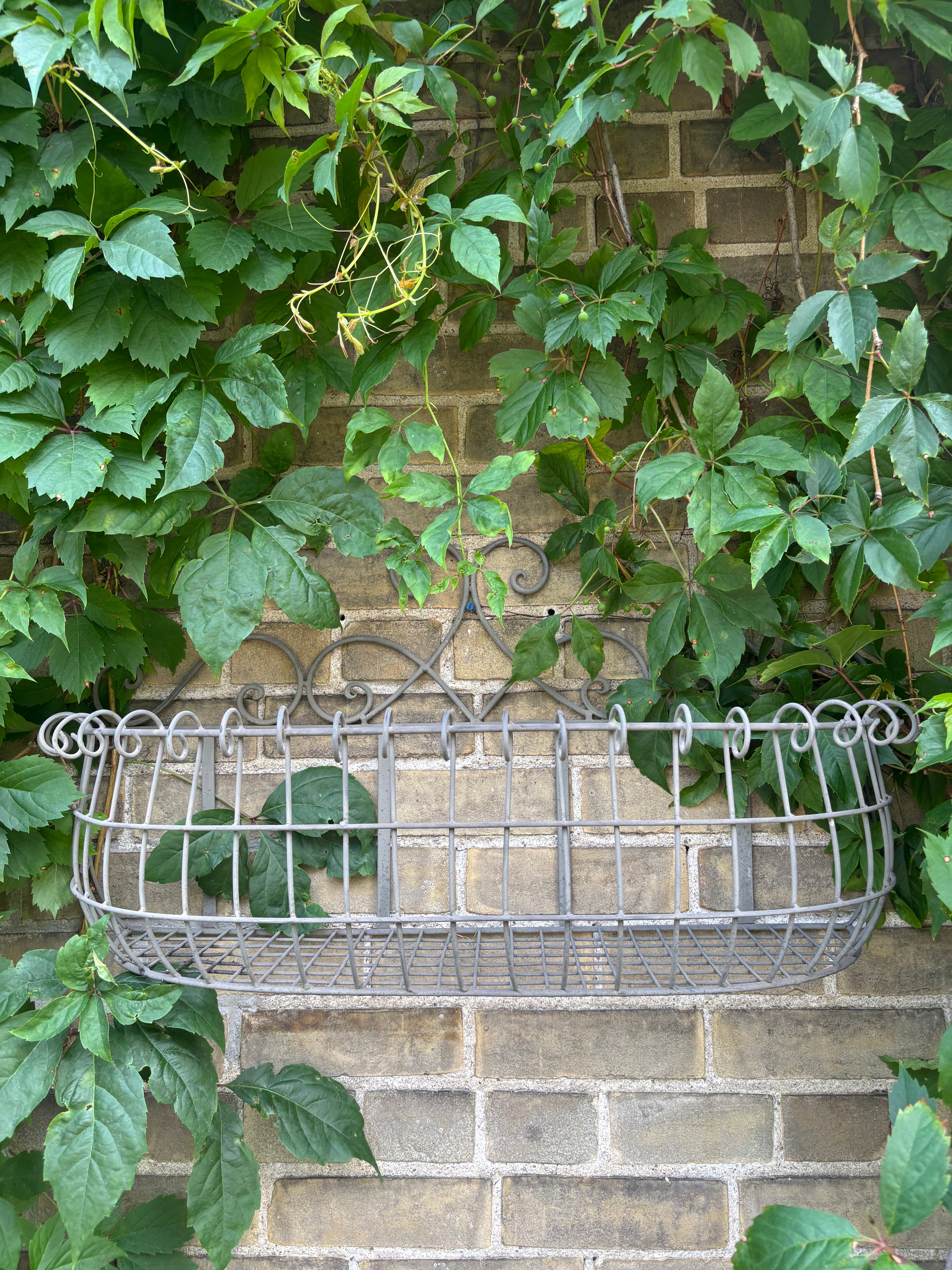 Francois Wire Wall Basket