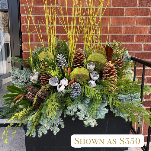 Chartreuse Winter Planter