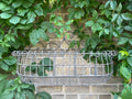 Francois Wire Wall Basket