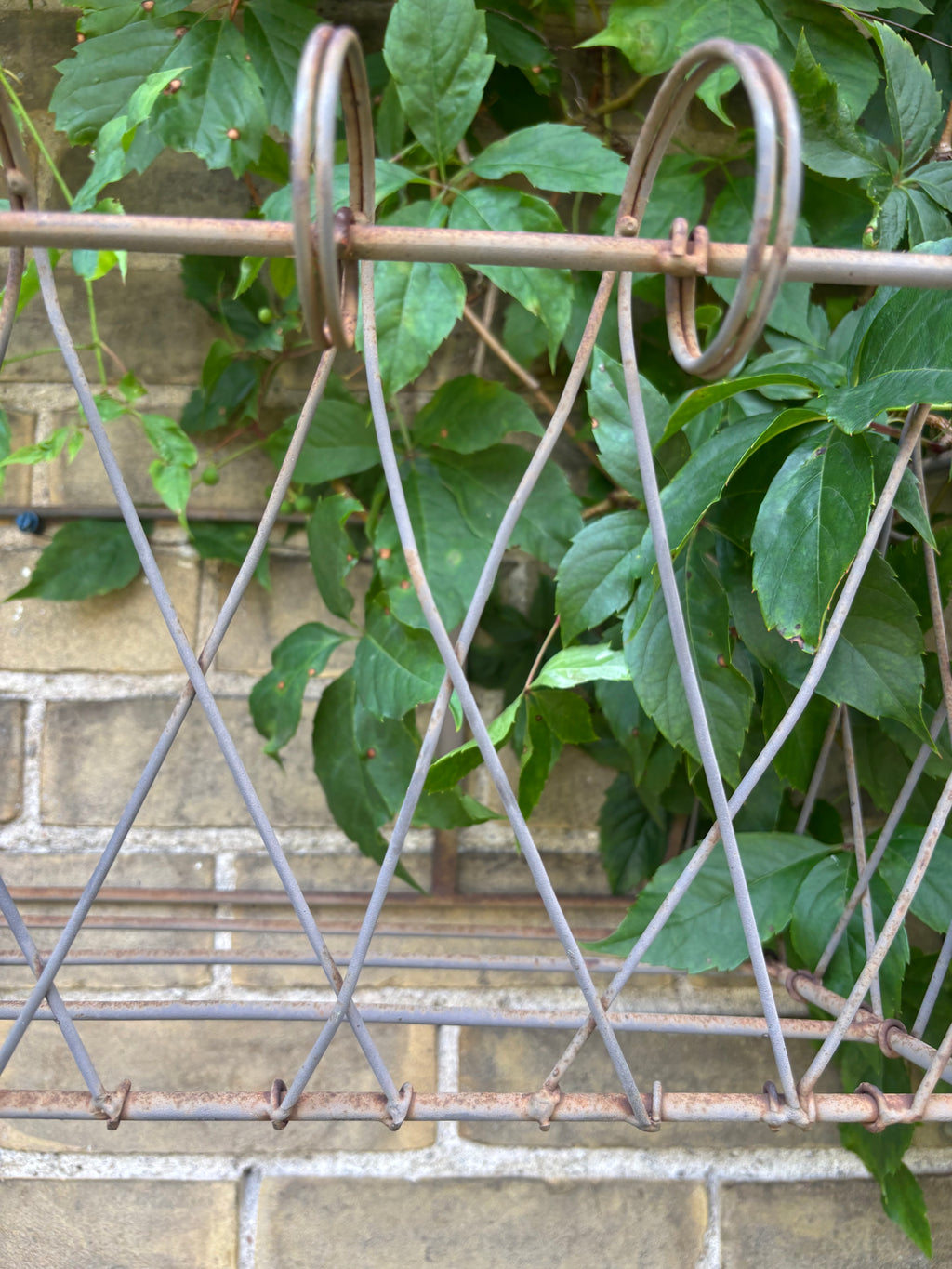 Loire Wire Wall Basket