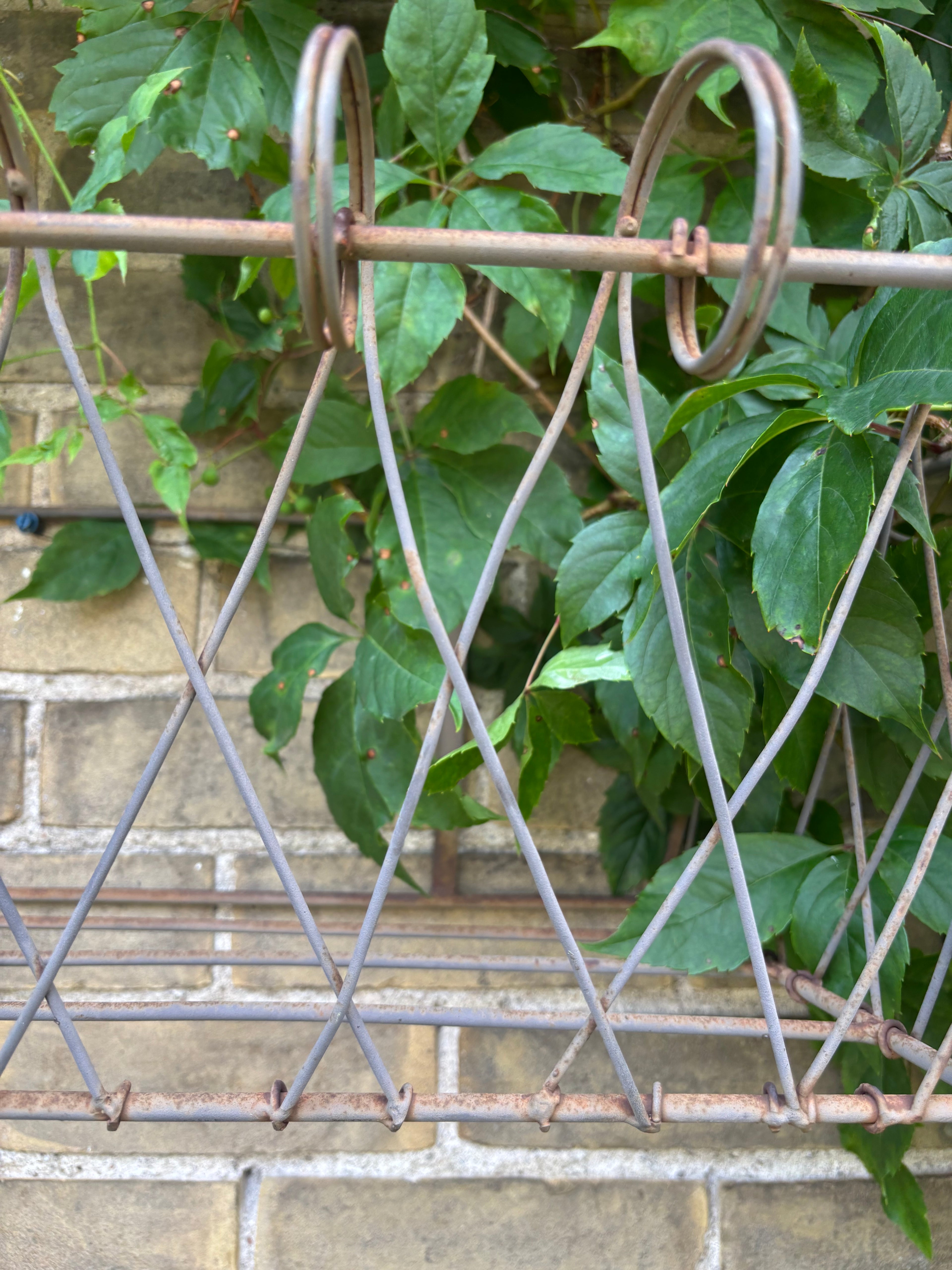 Loire Wire Wall Basket