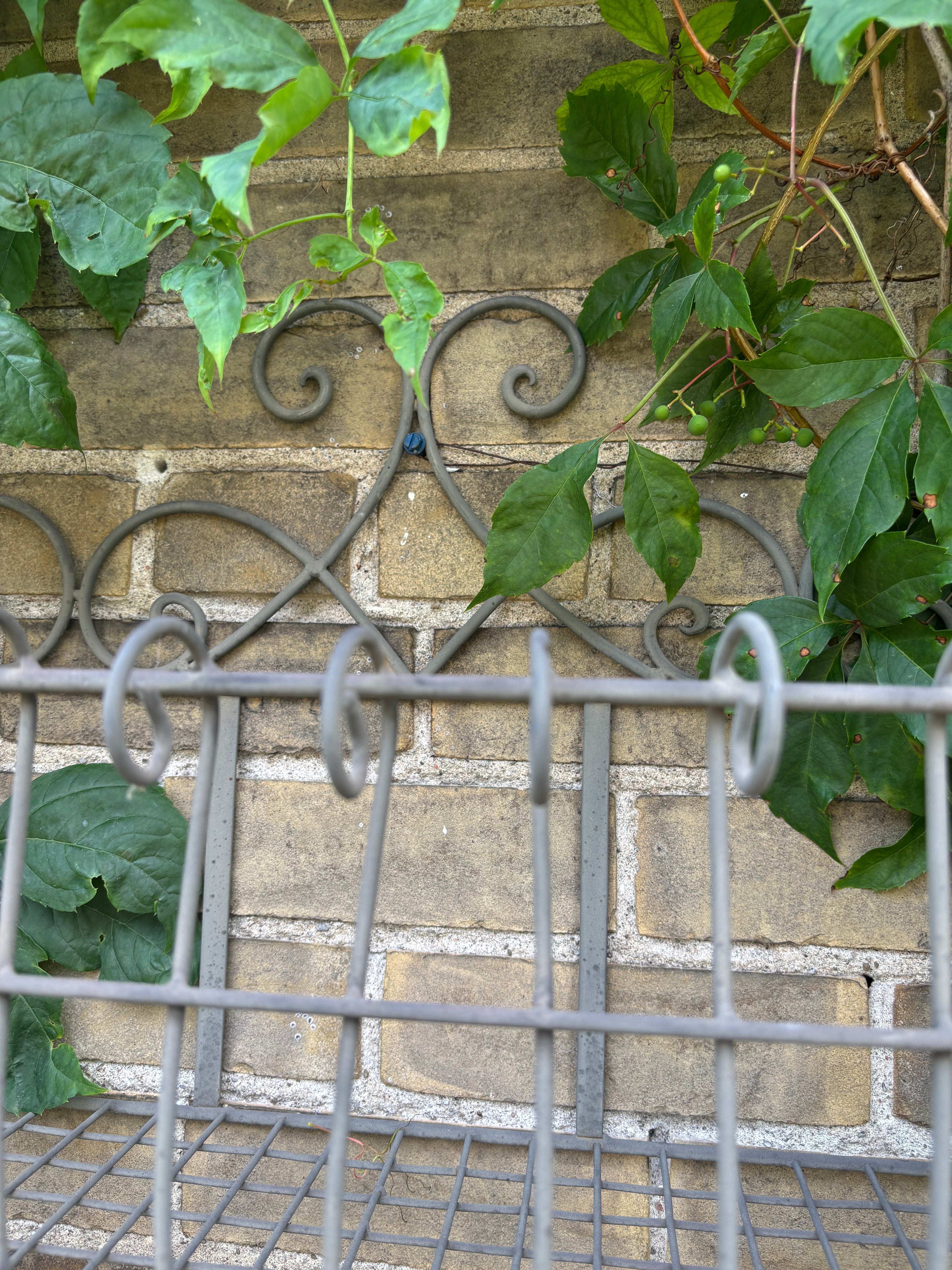 Francois Wire Wall Basket