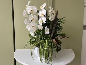 Orchid Garden