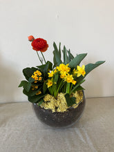 Load image into Gallery viewer, Colourful Garden Planter
