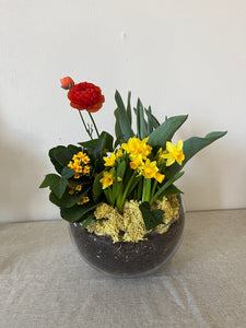 Colourful Garden Planter