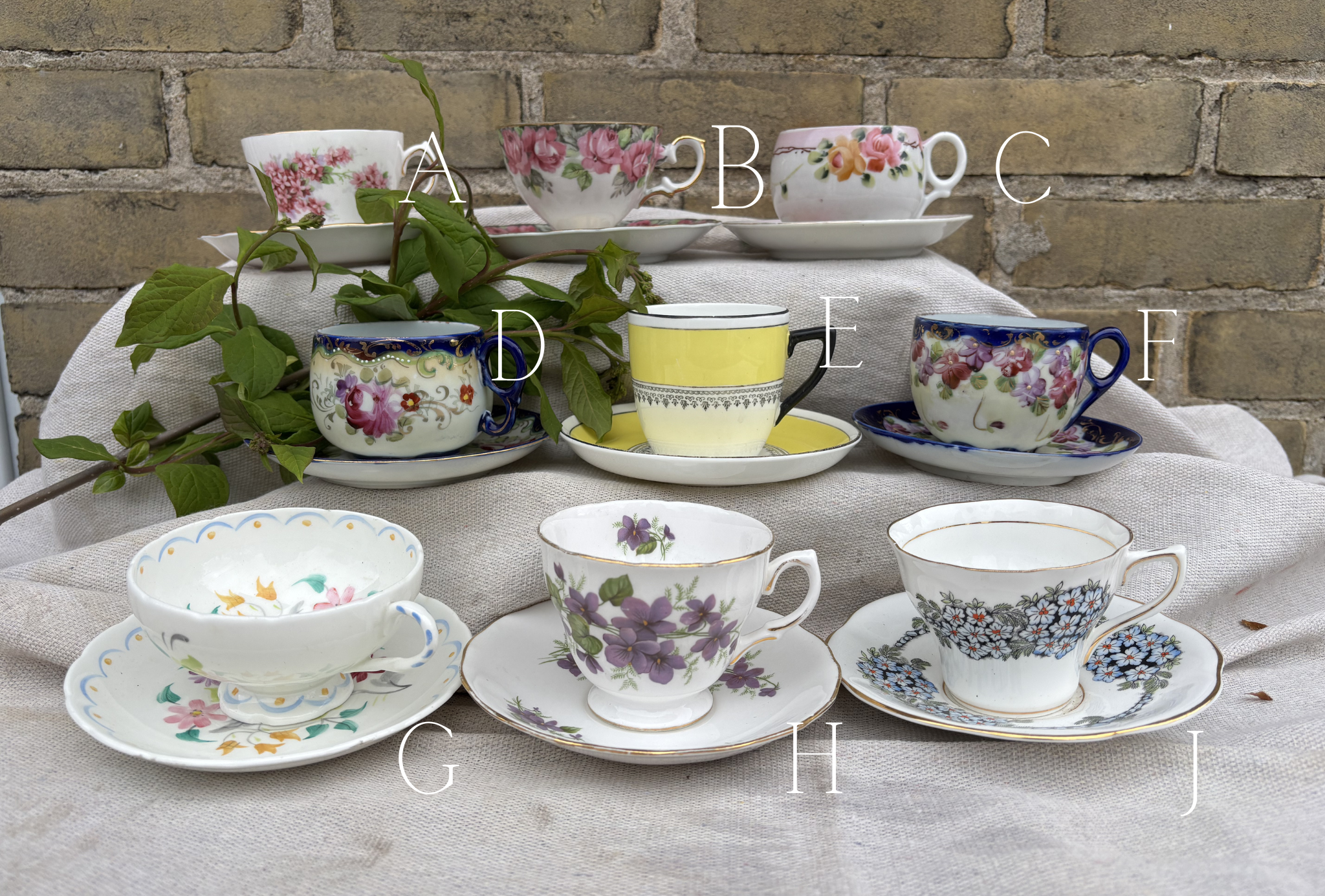 Vintage Tea Cup Arrangement