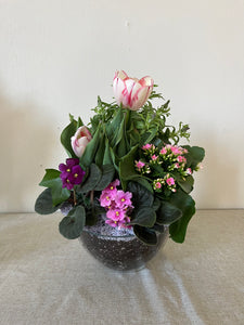 Colourful Garden Planter