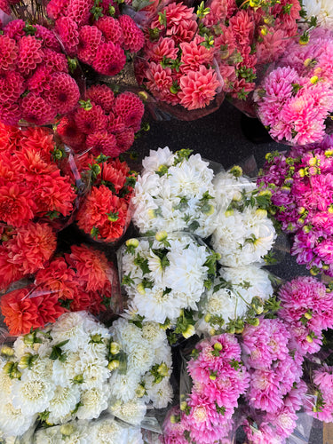 Dahlia Floral Workshop, September