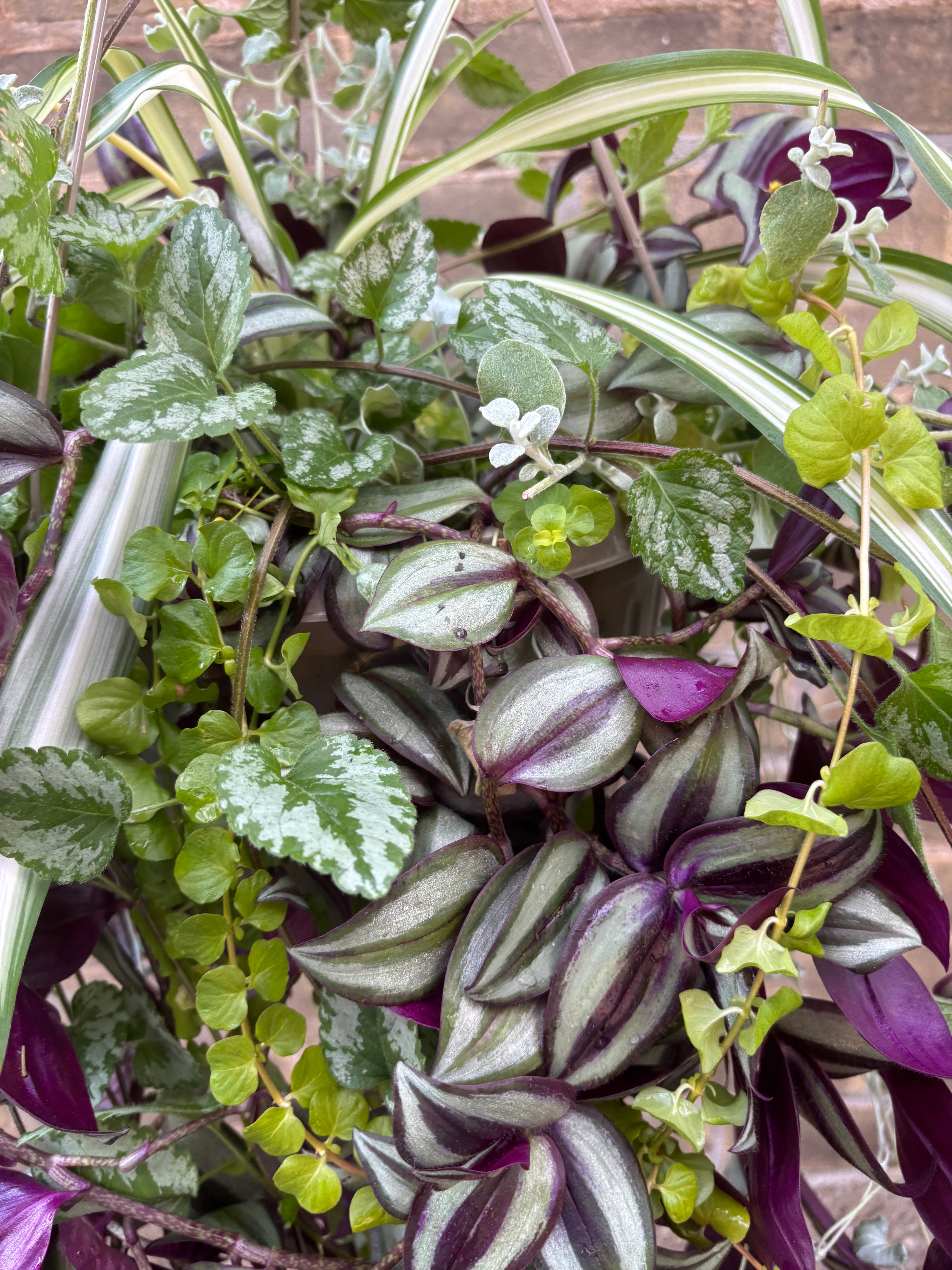 Mixed Vine Basket