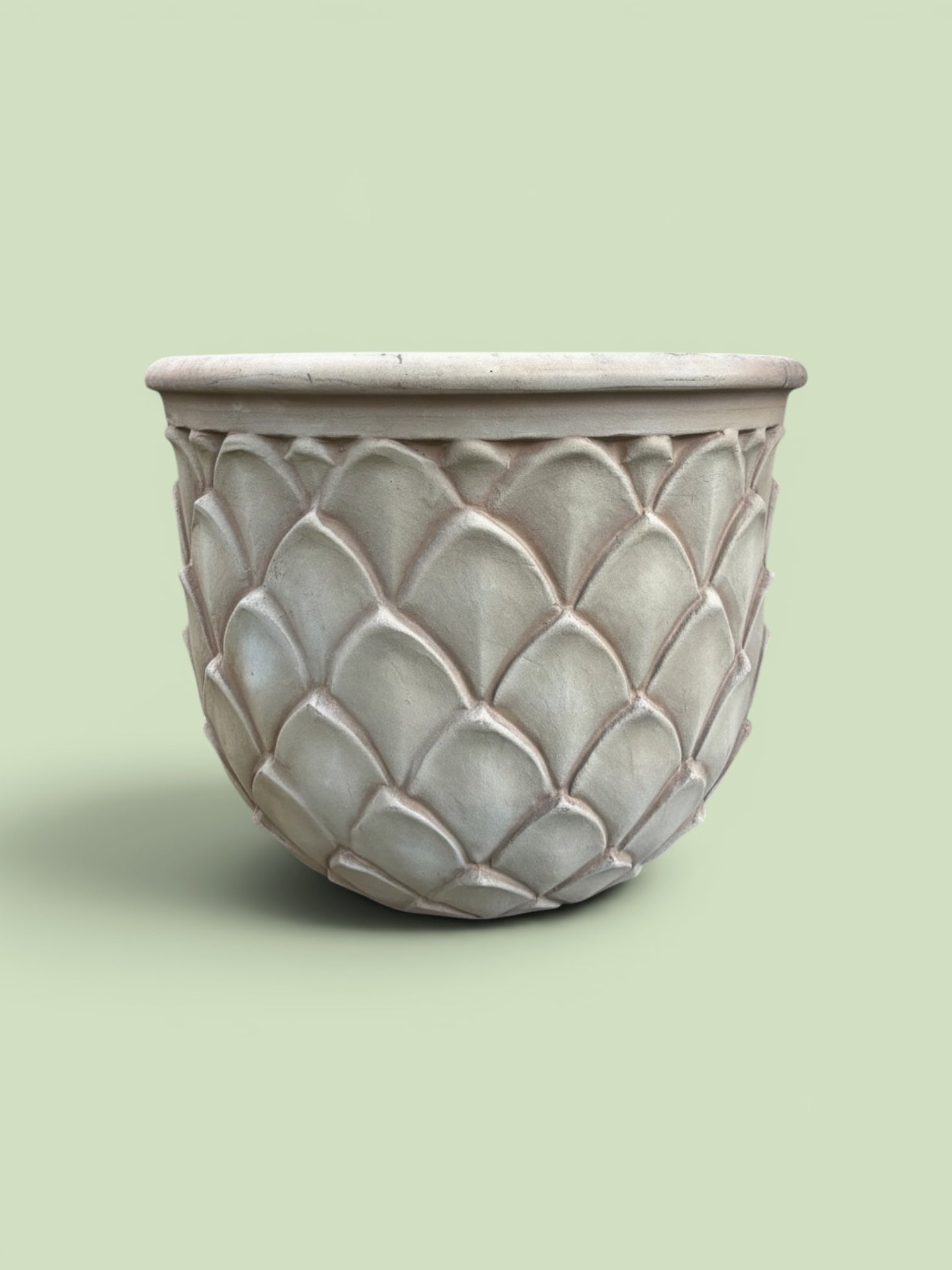 Scalloped Terra Cotta Planter