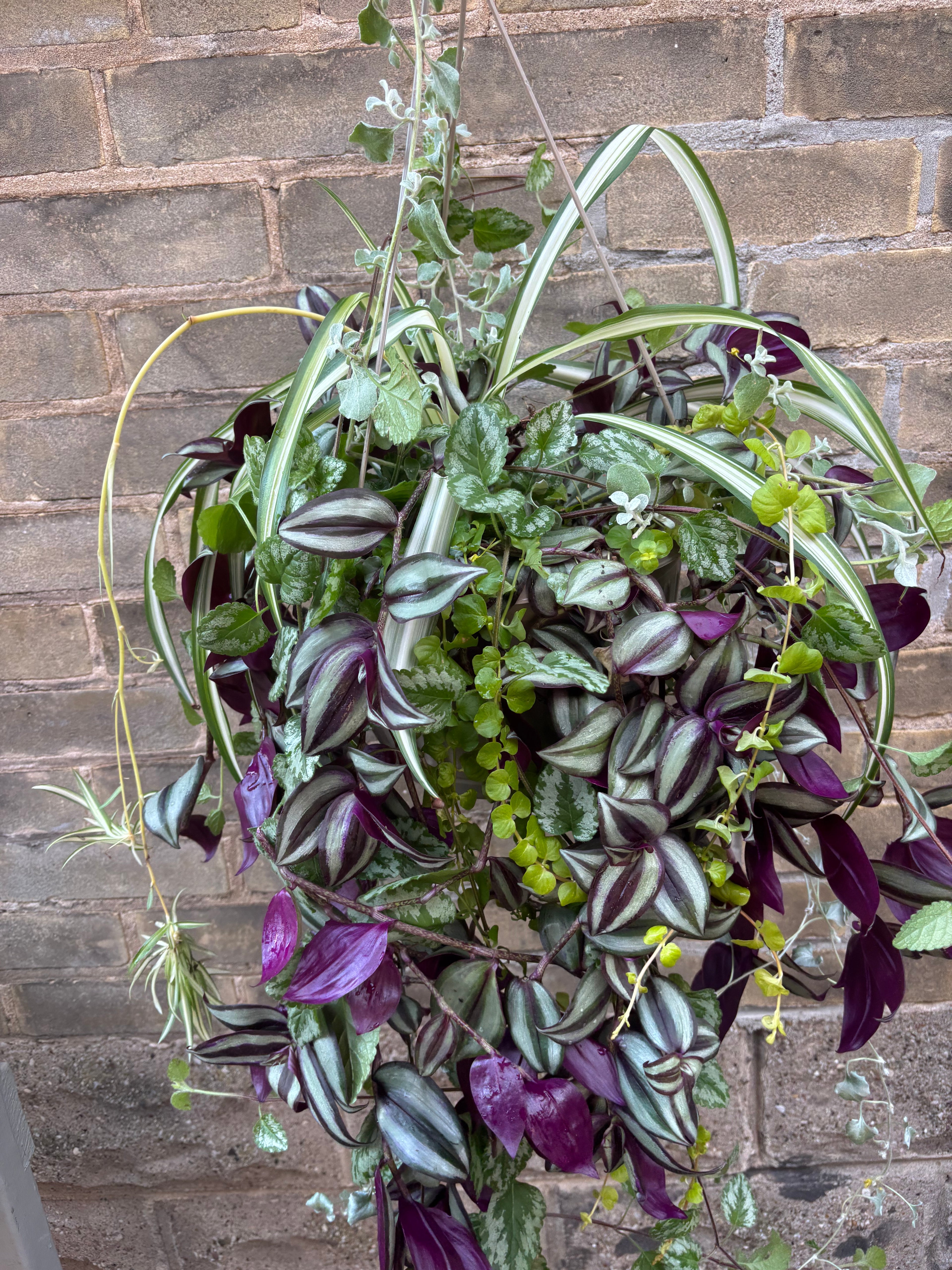 Mixed Vine Basket