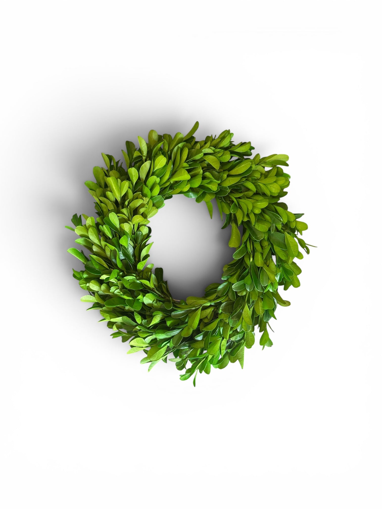 Preserved Boxwood Wreath