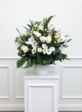 Serene White