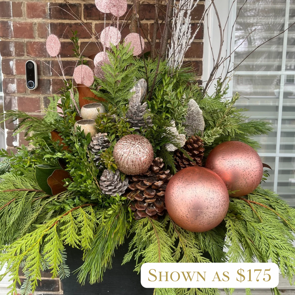 Specialty Coloured Winter Planter