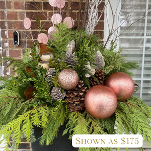 Specialty Coloured Winter Planter