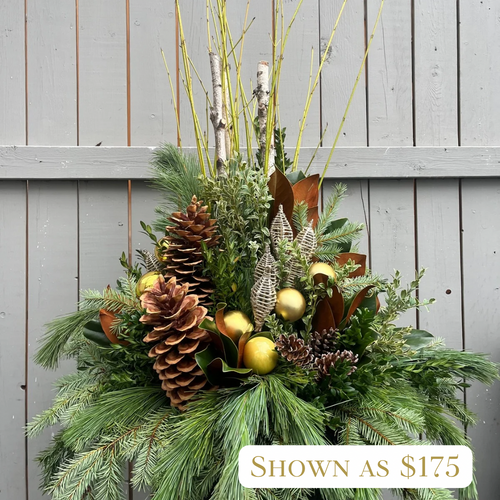 Specialty Coloured Winter Planter