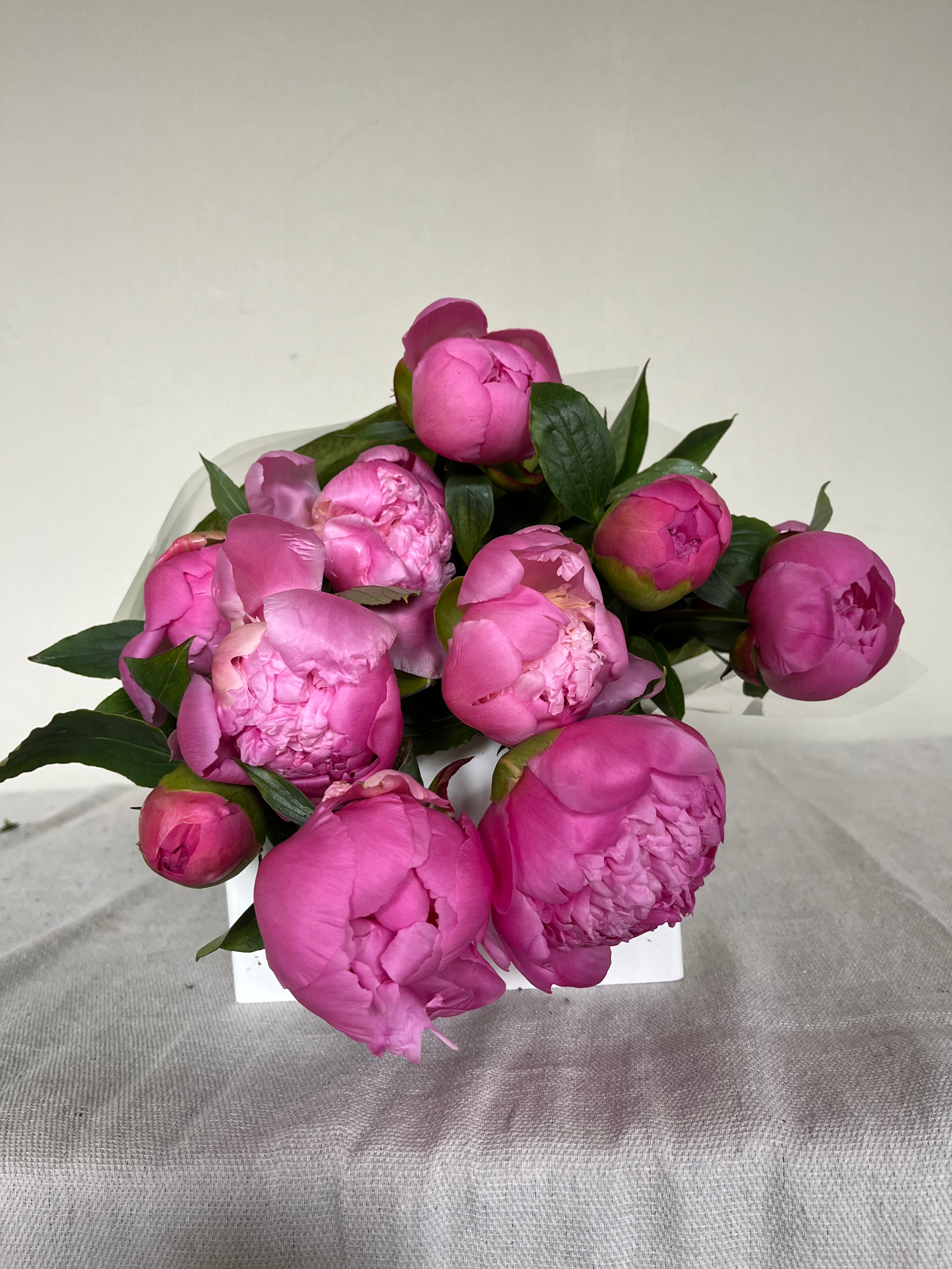 Peony Bundle
