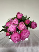 Load image into Gallery viewer, Peony Bundle