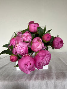 Peony Bundle