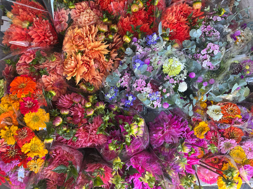 Wildflowers Floral Workshop, August