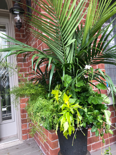 White and Green Summer Planter