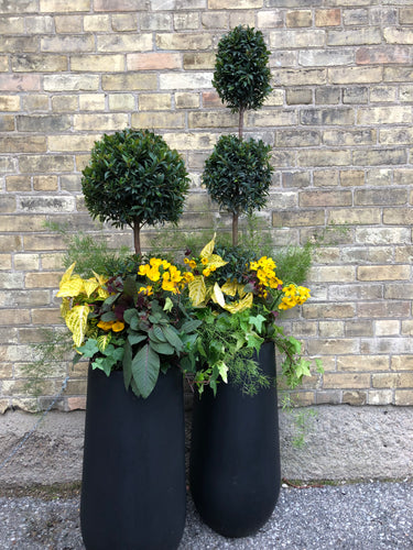 Yellow and Bright Summer Planter