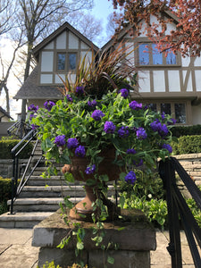 Purple Summer Planter