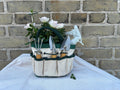 Rose Garden Kit