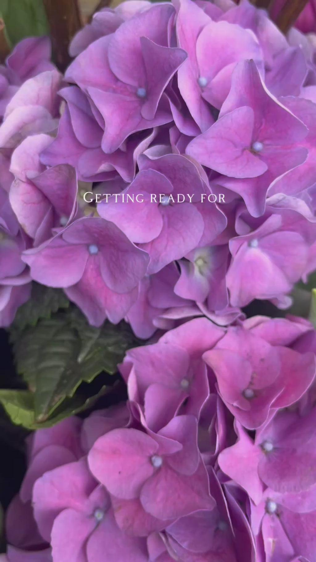 Spring Blend Exterior Planters