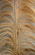 Natural Uva Grass Stalks