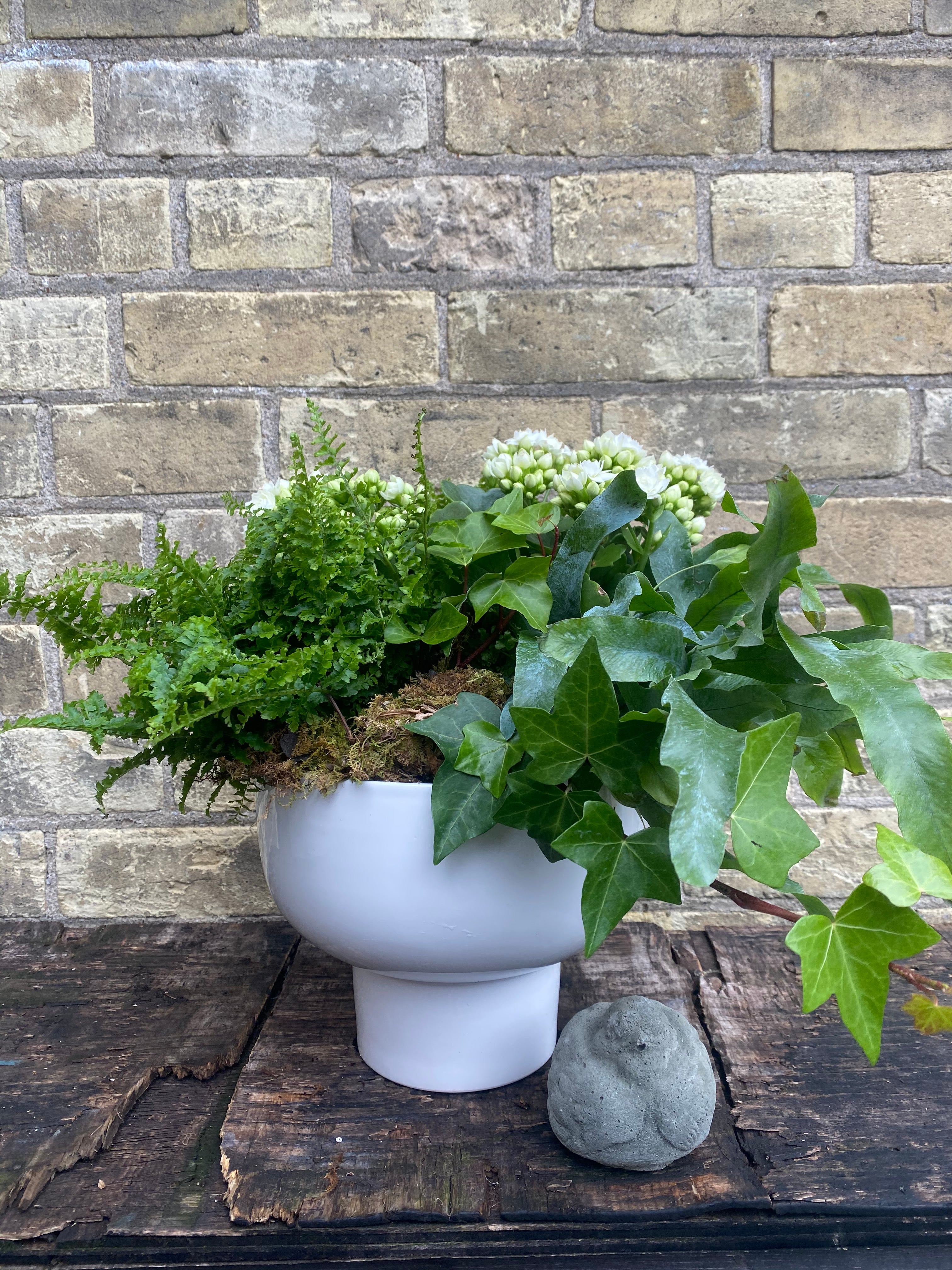 White Bloom Planter