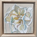 Tulip V x Laura Dick
