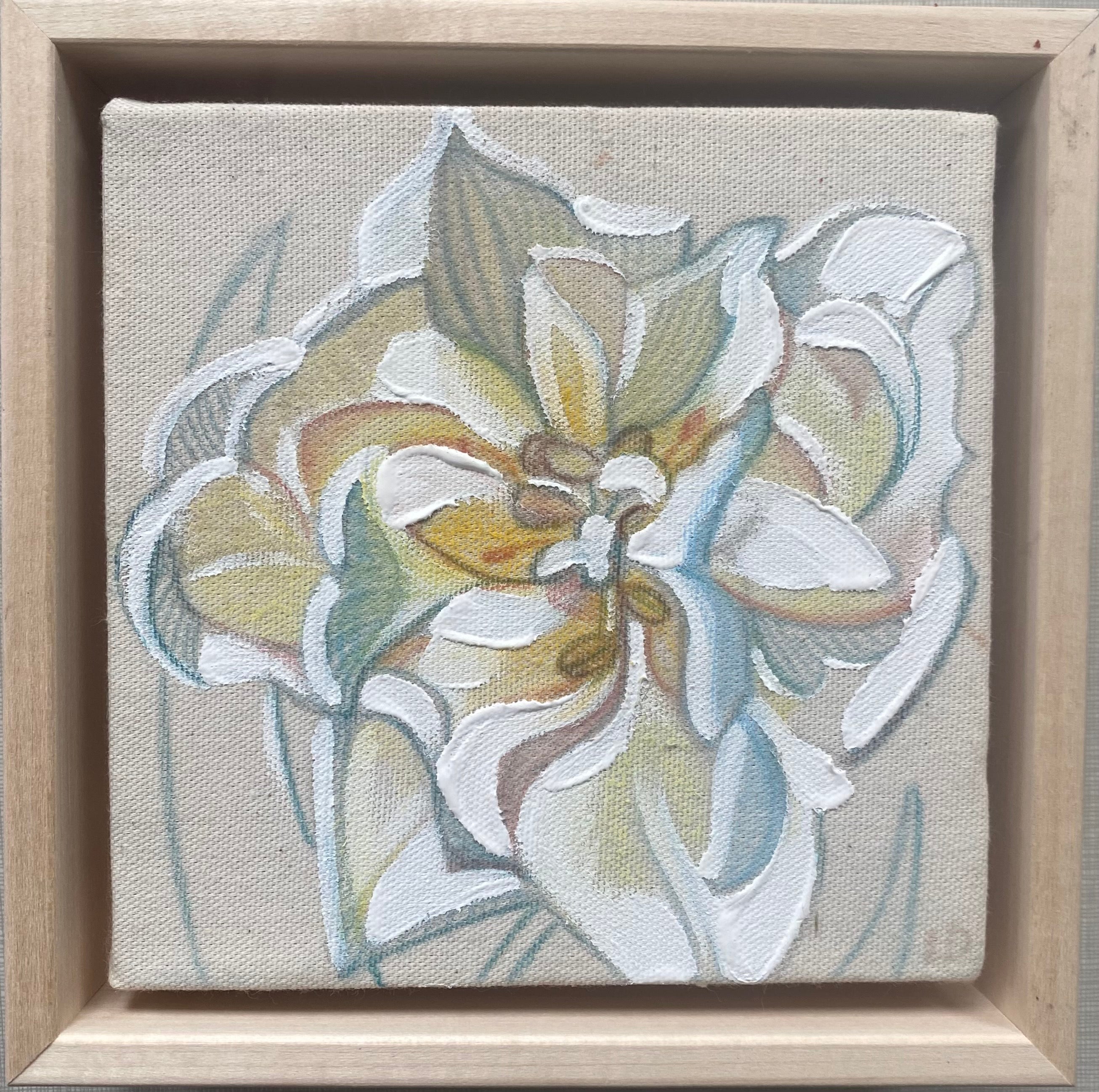 Tulip V x Laura Dick