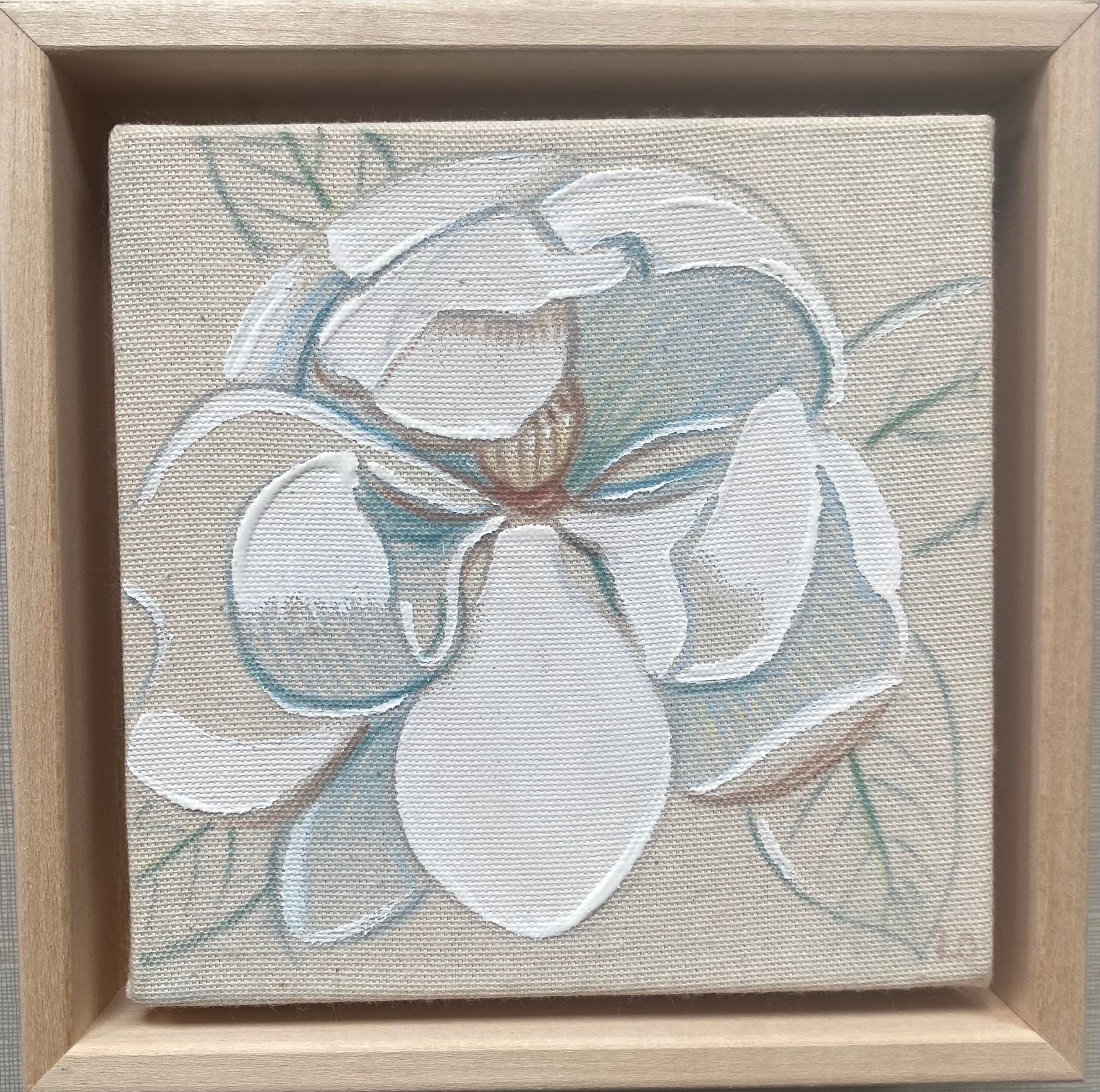 Magnolia V x Laura Dick