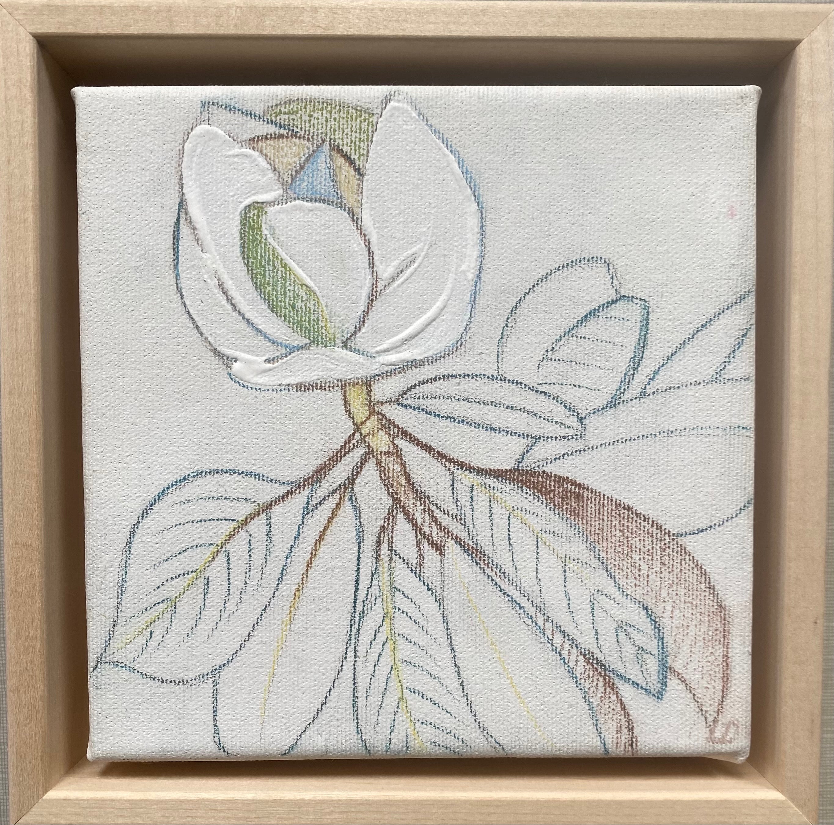 Magnolia III x Laura Dick