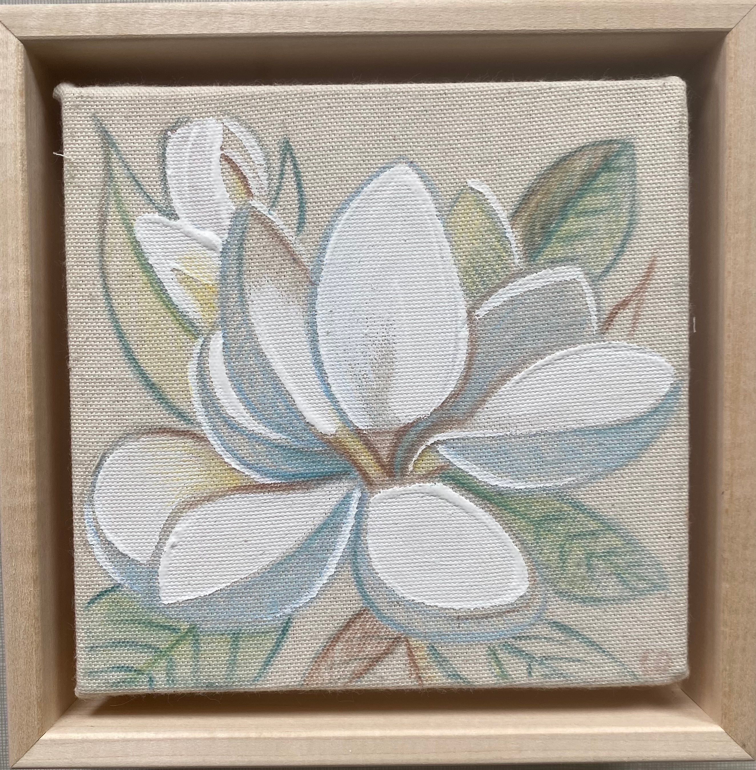 Magnolia II x Laura Dick