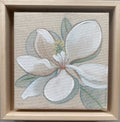 Magnolia I x Laura Dick