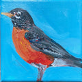Steady Robin by Julia Mcneely