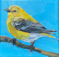 Goldfinch on Branch by Julia Mcneely