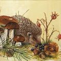 Nosy Little Hedgehog Napkin