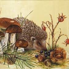Nosy Little Hedgehog Napkin