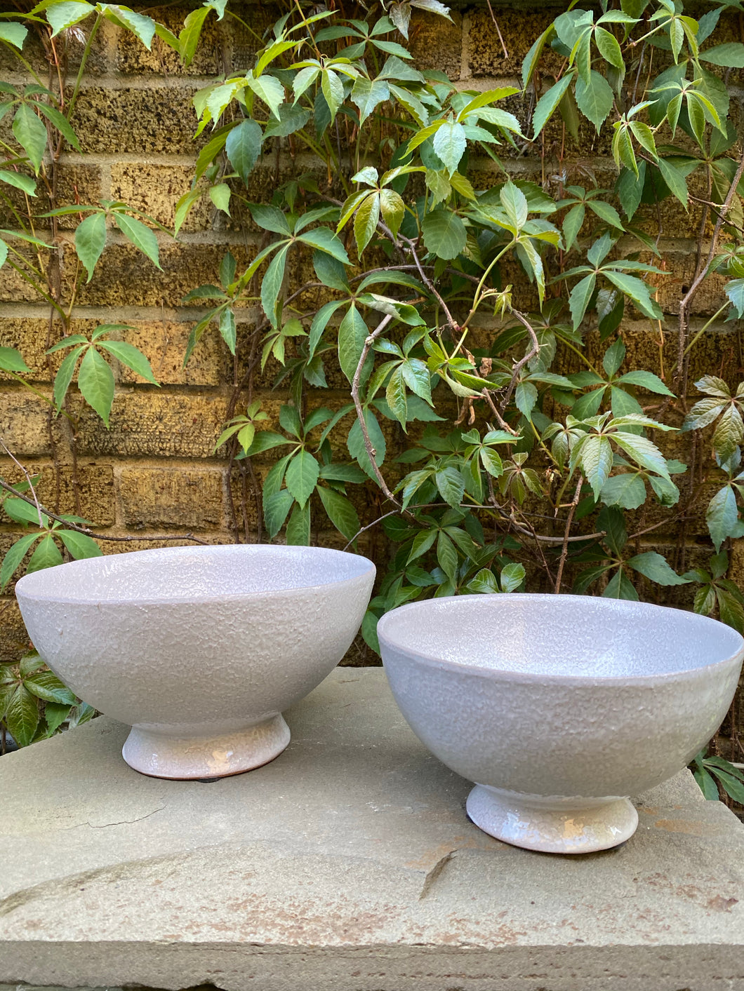 Lyra Compote
